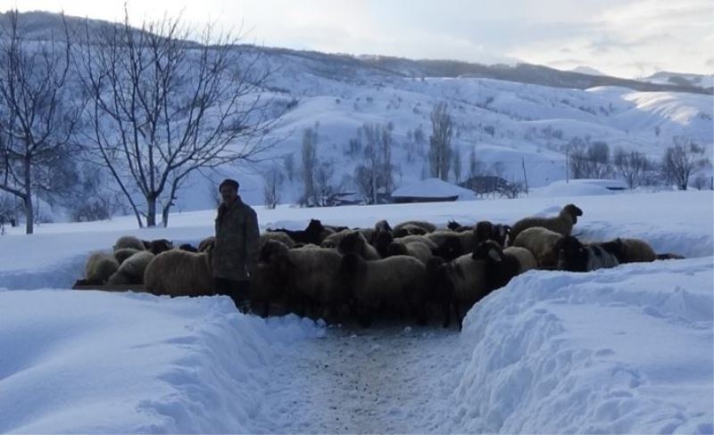 Muş’taki dağ köyleri kar altında kaldı