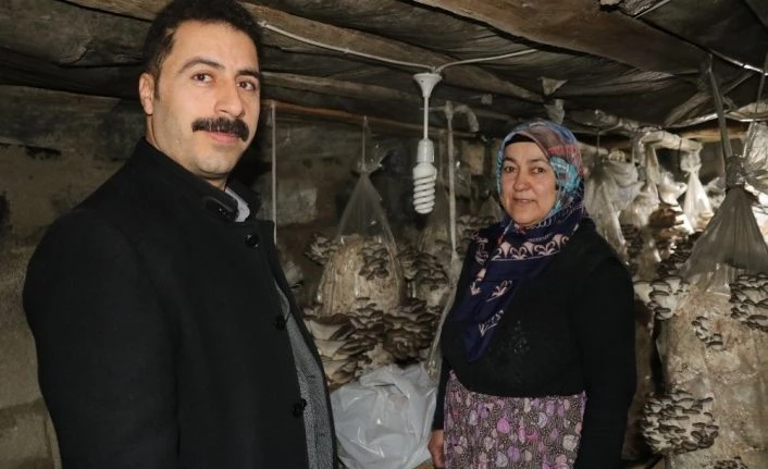 Vanlı kadınlar evlerinde mantar üreterek aile bütçelerine katkı sağlıyor
