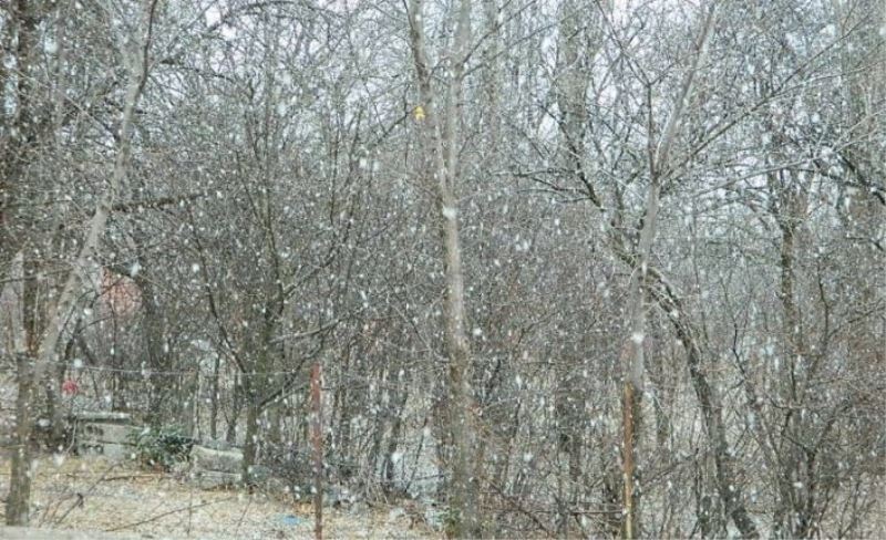 Posof’a kar yeni yıl ile geldi