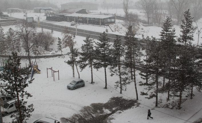 Soğuk hava yerini kar yağışına bıraktı