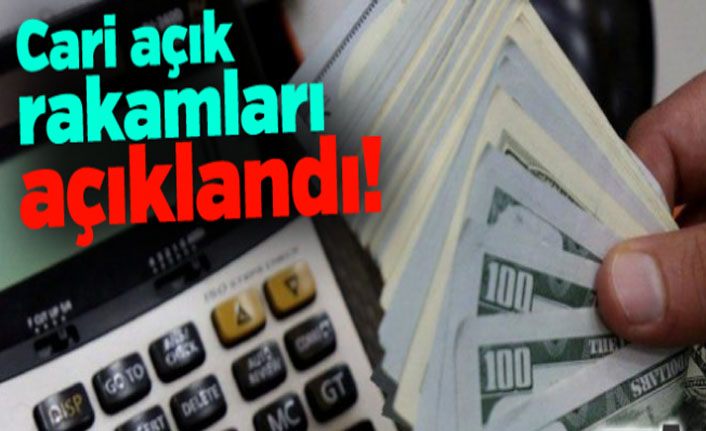 Aralık ayı cari denge rakamları açıklandı