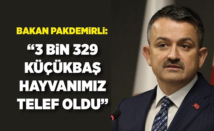 Bakan Pakdemirli: “3 bin 329 küçükbaş hayvanımız telef oldu”