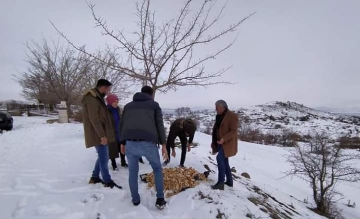 Bingöl’de sokak hayvanları unutulmadı