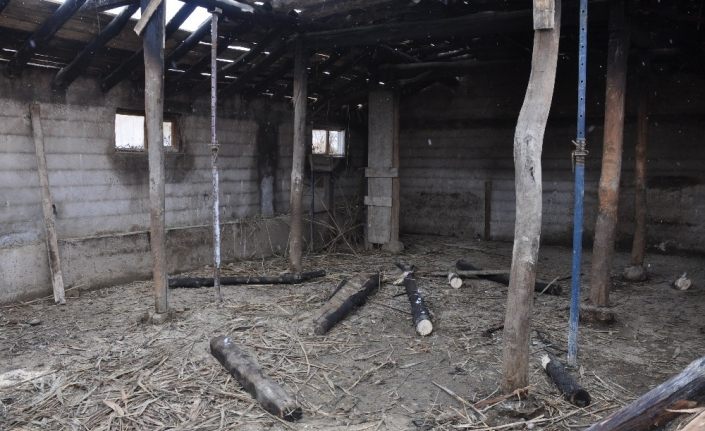 Bulanık’ta ahır yandı: 9 hayvan telef oldu