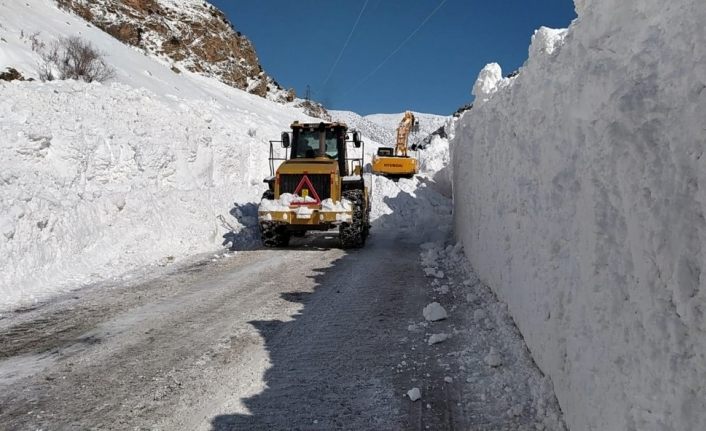 Çatak’taki çığ bölgelerinde çalışmalar sürüyor