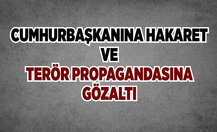 Cumhurbaşkanına hakaret ve terör propagandasına gözaltı