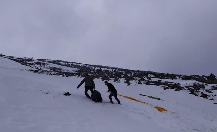 Doğadaki yaban hayvanları unutulmuyor