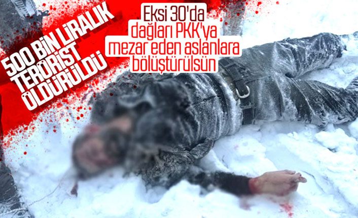 Gri kategorideki terörist Erzurum'da öldürüldü