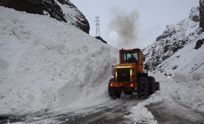 Hakkari-Çukurca kara yoluna çığ düştü