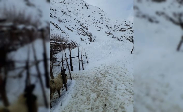 Hakkari’de inen çığ ahırı teğet geçti