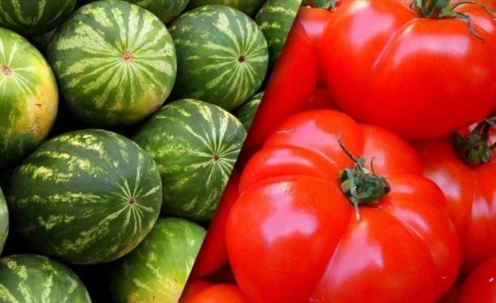 İstanbul hallerinde geçen yıl en çok karpuz ve domates satıldı