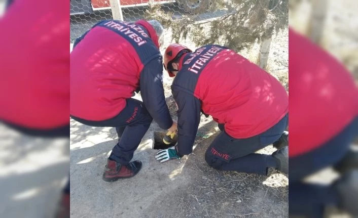 Kuyuda mahsur kalan yavru köpekler kurtarıldı