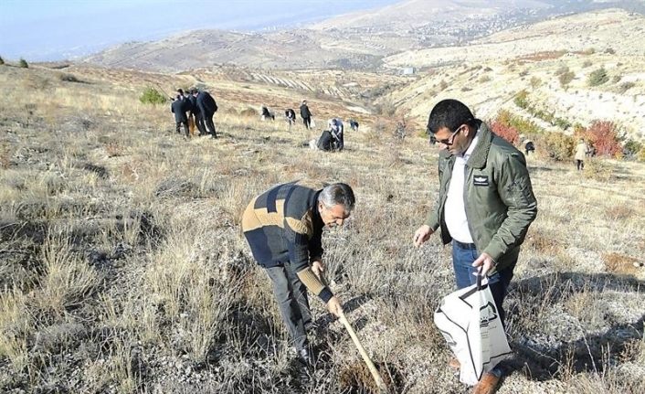 Malatya’da 7 tarım projesi desteklenecek