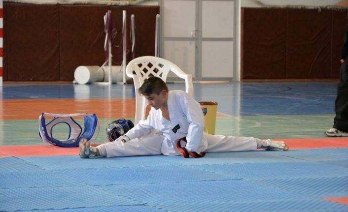 Taekwondo müsabakaları tamamlandı