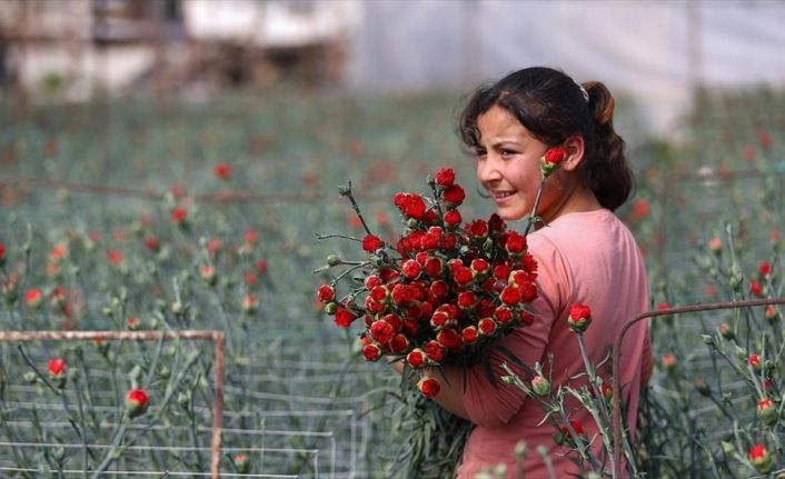 Türk çiçeği 50 ülkenin kadınları için hazırlanıyor
