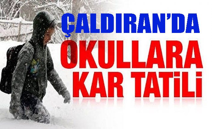 Van Çaldıran’da kar tatili 06 Şubat 2020