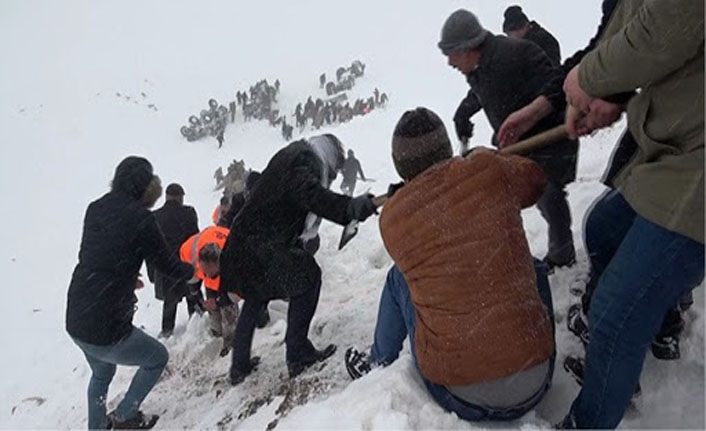 Van'daki çığ faciasında hayatını kaybeden siviller