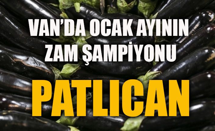 Van’da Ocak ayının zam şampiyonu patlıcan