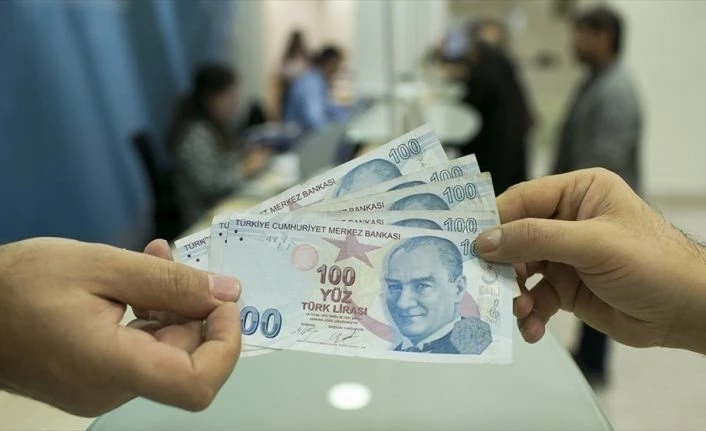 Vatandaş bankalara 65,6 milyar lira 