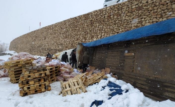 Yoldan çıkan tır 4 metreden aşağı düştü