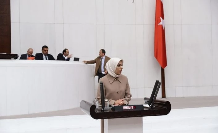 AK Parti MKYK Üyesi ve Erzurum Milletvekili Zehra Taşkesenlioğlu Ban, TBMM genel kurulunda konuştu