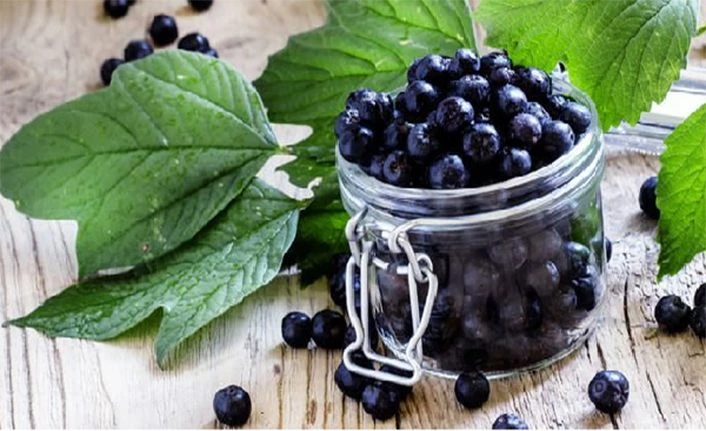 Aronya meyvesi çayı nedir? Aronia çayı fiyatı ne kadar?