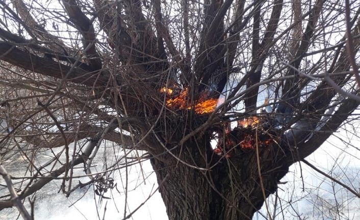 Bingöl’de yangın, ağaçlar zarar gördü