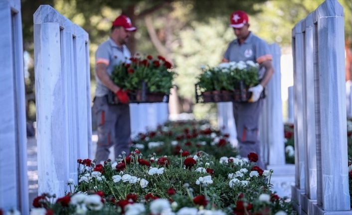 Çanakkale kahramanlarının mezarları 11 bin şakayıkla kırmızı beyaza büründü