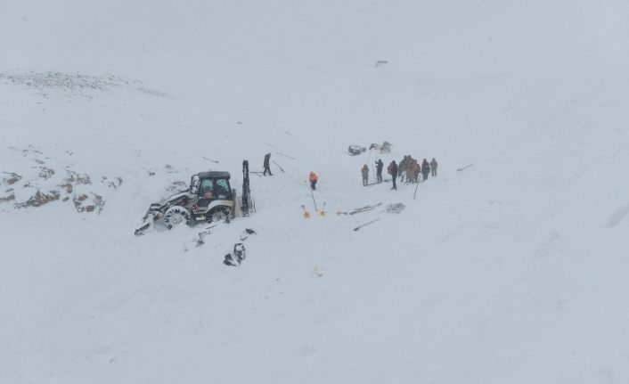 Çığ bölgesinde arama çalışmaları yeniden başladı