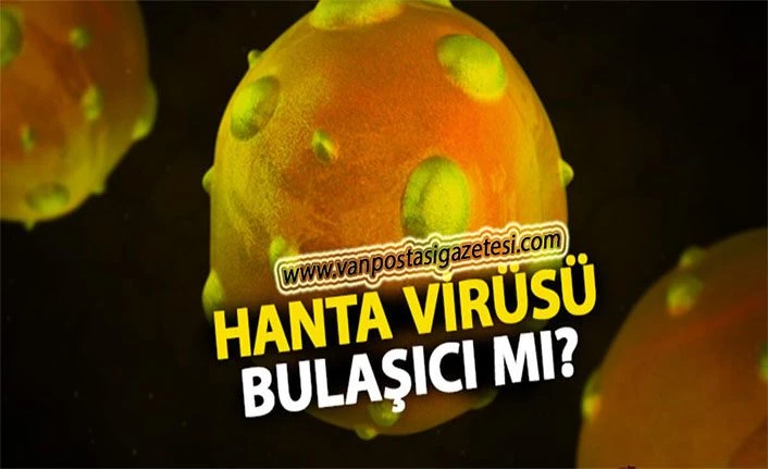 Çin'de hantavirüs paniği! Hanta virüsü nedir, bulaşıcı mı?Hanta virüsü Başlangıç belirtileri nelerdir?