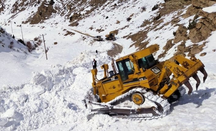 Başkale'de depremin vurduğu mahallenin yoluna çığ düştü