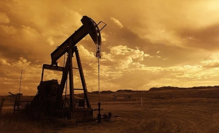 EIA: Petrol fiyatlarındaki dalgalanma 2007