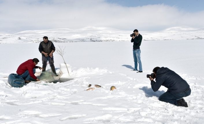 Eskimo usulü balık avına fotoğrafçı ilgisi