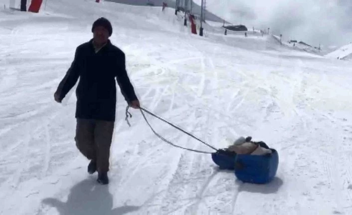 Hasta buzağıyı kızakla veterinere götürdü