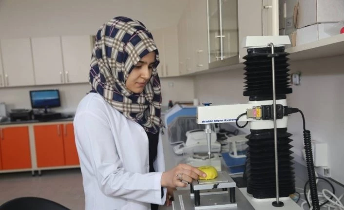 Iğdır Üniversitesi’nden Covıd-19 virüsüne karşı “Hidrojenle Zenginleştirilmiş Su Tedavisi"