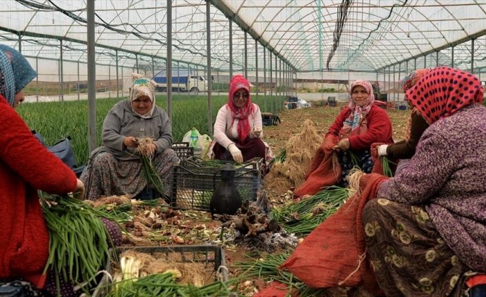 Kadın çiftçiler hem evde hem tarlada mesaide