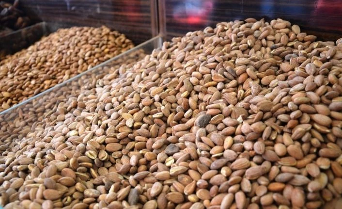 Korona virüs tedavileri içerisinde kayısı çekirdekleri de bulunuyor