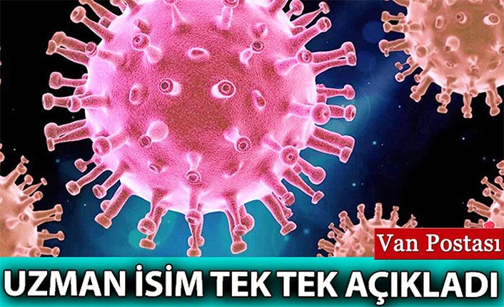 Korona virüs üç yolla bitebilir