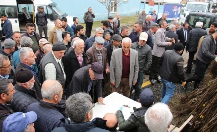 Oltulu çiftçilere 10 bin Ceviz Fidanı hibe edildi