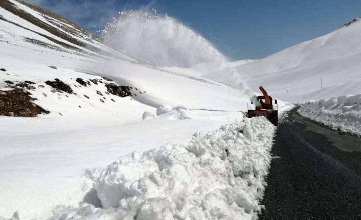 Van'da Çığ faciasının yaşandığı bölgede yol açma çalışmaları başladı