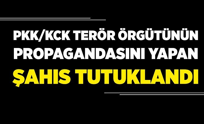 Van'da PKK/KCK terör örgütünün propagandasını yapan şahıs tutuklandı