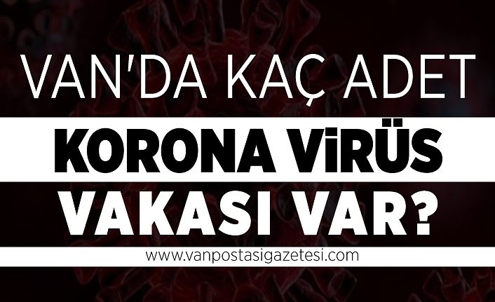 Son Dakika!.. Van'da kaç adet korona virüs vakası var?