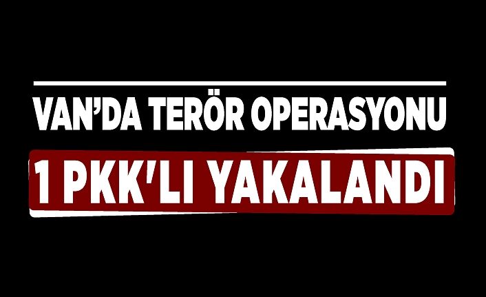 Van’da terör operasyonu; 1 PKK'lı yakalandı