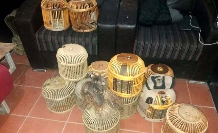 Yol kontrolünde keklik avlamak için kurulan tuzak düzenekleri ele geçirildi