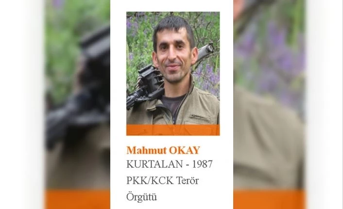 1 milyon TL ödülle aranan teröristin korona virüs testi pozitif çıktı