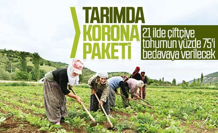 21 ilde çiftçiye tohumun yüzde 75'i hibe edilecek.. İşte o iller