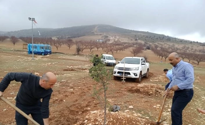 Akçadağ’da fidanlar toprakla buluştu