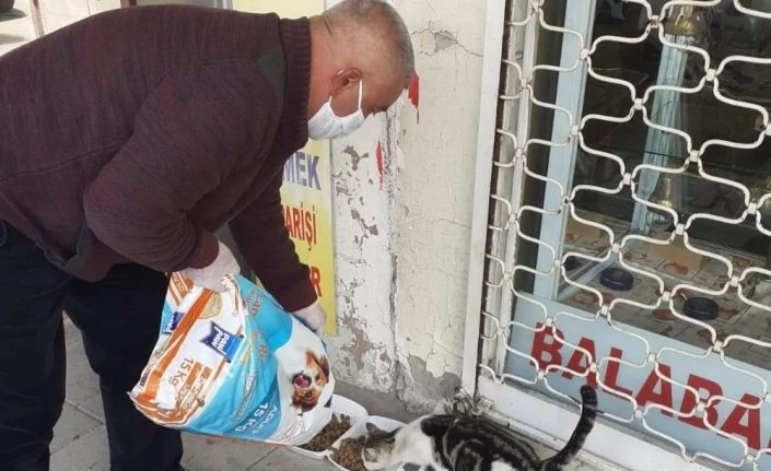 Akçadağ’da sokak hayvanları unutulmadı