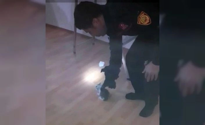 Bacaya sıkışan yavru kediyi itfaiye kurtardı