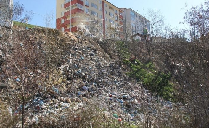 Bitlis Belediyesinin çalışmaları devam ediyor